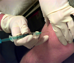 Malaysia declared Meningococcal Quadrivalent vaccine Halal